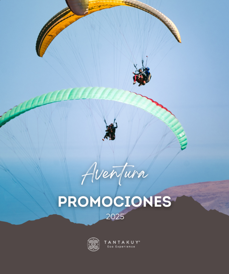 Aventura Tantakuy: alojamiento con actividades de naturaleza, cultura y adrenalina en Tarapacá, desde fatbikes hasta parapente.