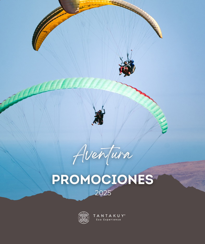 Aventura Tantakuy: alojamiento con actividades de naturaleza, cultura y adrenalina en Tarapacá, desde fatbikes hasta parapente.