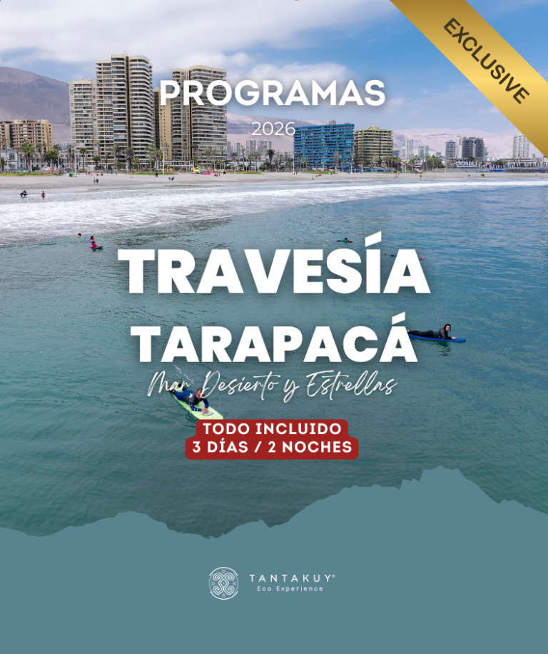 Experiencia Travesía Tarapacá que conecta el océano Pacífico con el Desierto del Tamarugal, incluyendo hotel Gavina en Iquique, Hotel Tantakuy, geoglifos de Pintados, astroturismo y wellness en el norte de Chile.